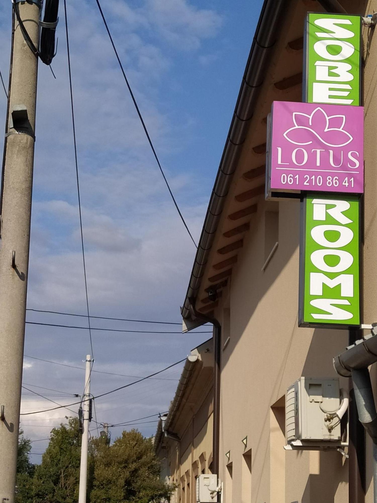 Lotus House Apartment ซเรนยานิน ภายนอก รูปภาพ